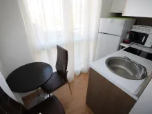 Miniaturka