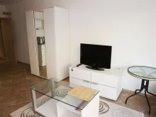 Miniaturka