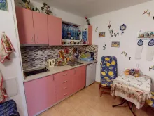 Miniaturka