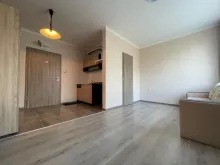 Miniaturka