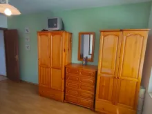 Miniaturka