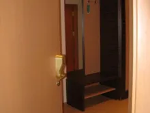 Miniaturka