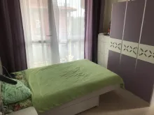 Miniaturka