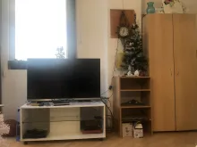 Miniaturka