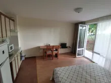 Miniaturka