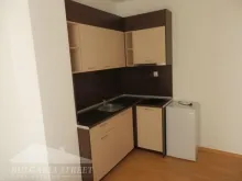 Miniaturka