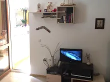 Miniaturka