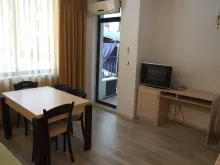 Miniaturka