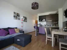 Miniaturka
