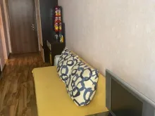 Miniaturka