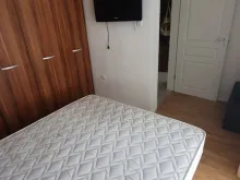 Miniaturka