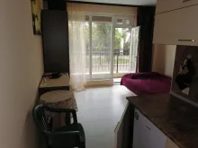 Miniaturka