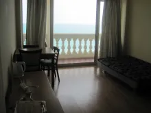 Miniaturka