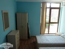 Miniaturka