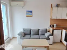 Miniaturka