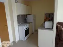Miniaturka