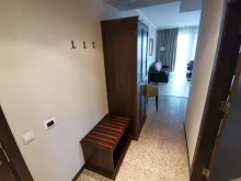 Miniaturka