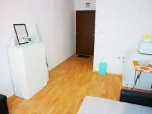 Miniaturka