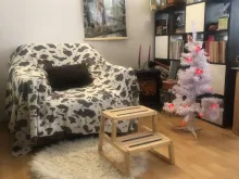 Miniaturka
