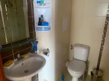 Miniaturka