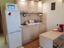 Miniaturka