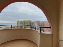 Miniaturka