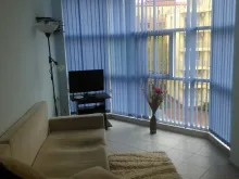 Miniaturka