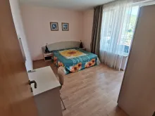 Miniaturka