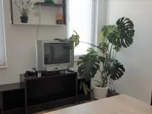Miniaturka