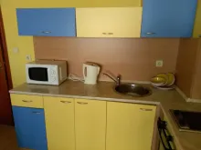 Miniaturka
