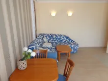 Miniaturka