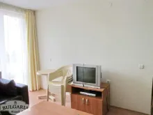 Miniaturka
