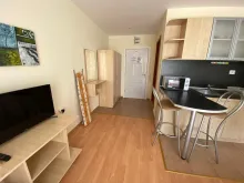 Miniaturka