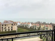 Miniaturka