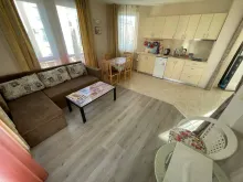 Miniaturka