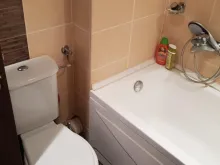 Miniaturka
