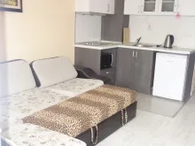 Miniaturka