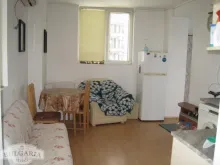 Miniaturka