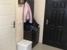 Miniaturka