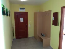 Miniaturka