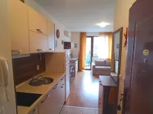 Miniaturka