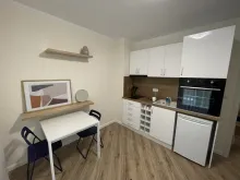 Miniaturka