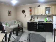 Miniaturka