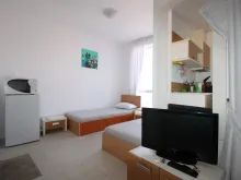 Miniaturka