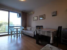 Miniaturka