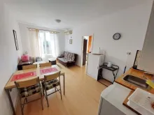 Miniaturka