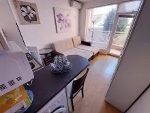 Miniaturka