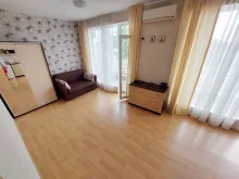 Miniaturka
