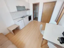 Miniaturka