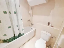 Miniaturka